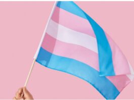 A trans-friendly flag
