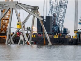 Baltimore-Bridge-Collapse