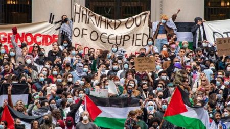 A lot of people gathered together in a pro-palestine protest