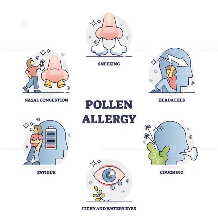 A picture of a pollen outline diagram