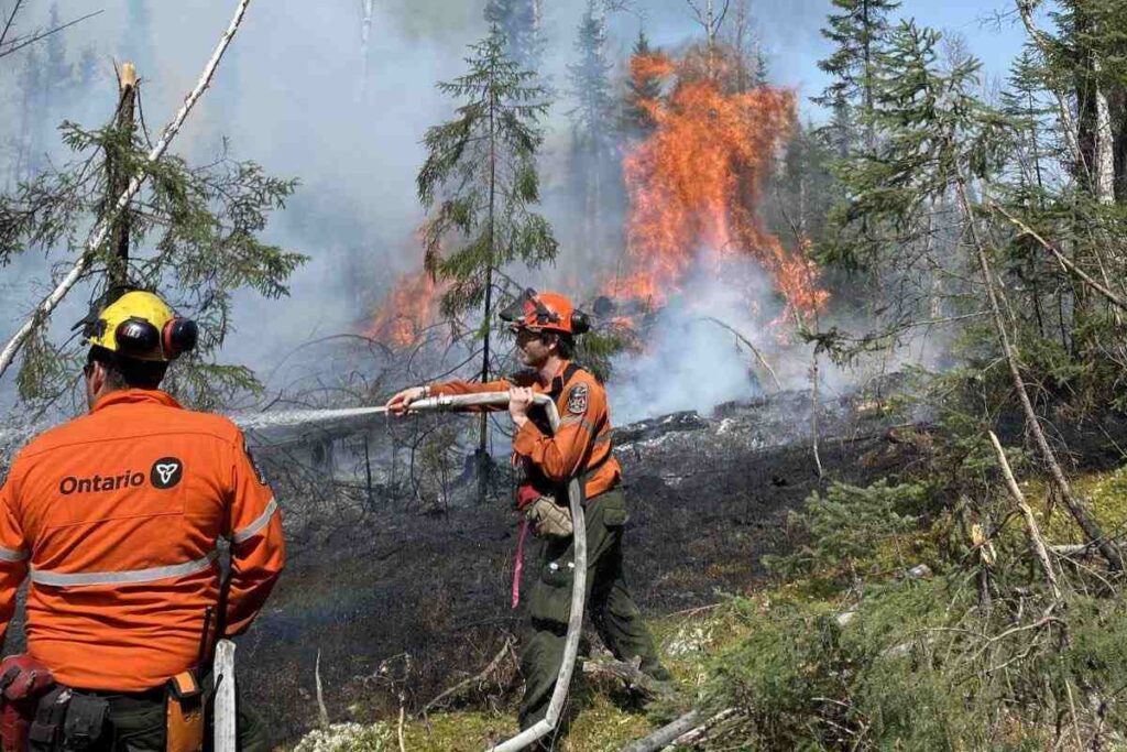 A picture of firefighters against wildfires
