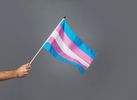 A man holding a transgender flag