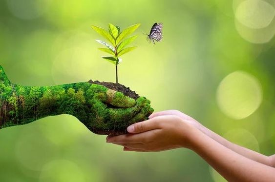 A green hand passing on soil with a growing plant in it to a human hand