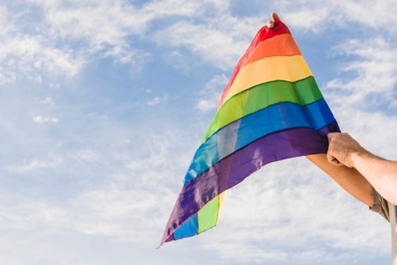 A person holding the LGBT flag