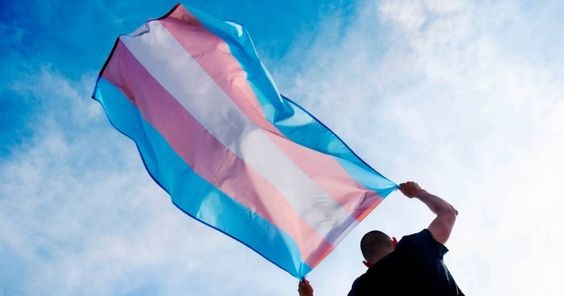 A man holding a billowing transgender flag