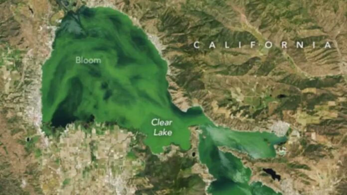 NASA image of Clear Lake using the Landsat 9 satellite