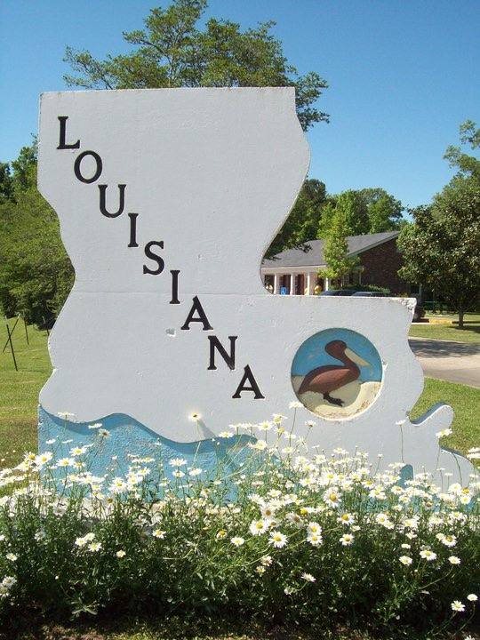 A picture representation of Louisiana