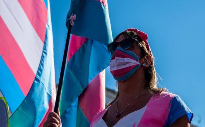 A picture of trans flag