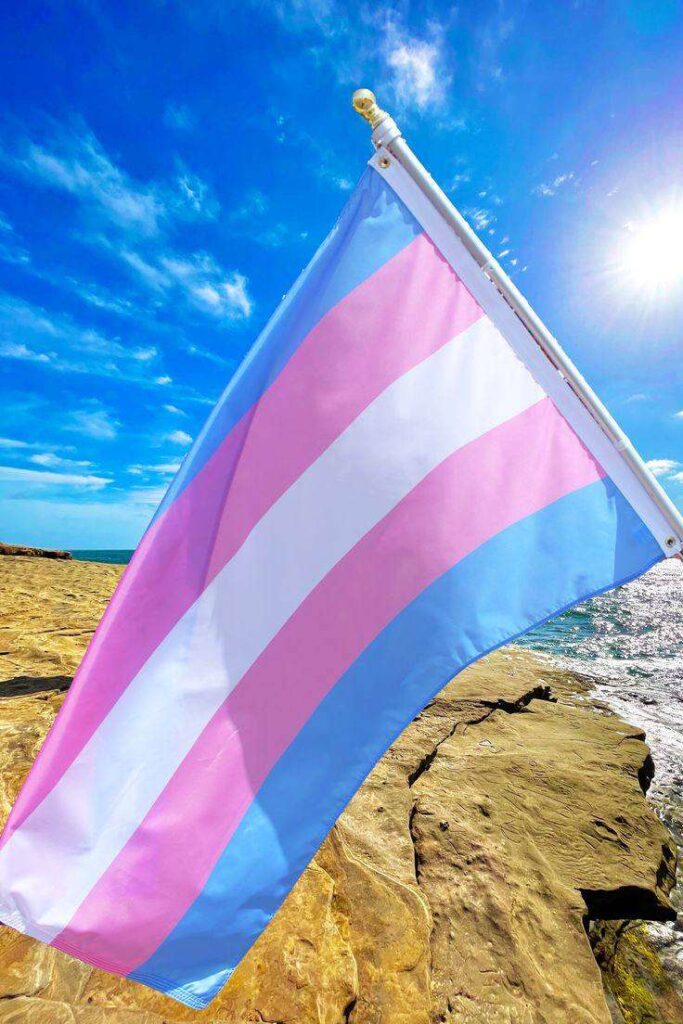 A picture of transgender flag