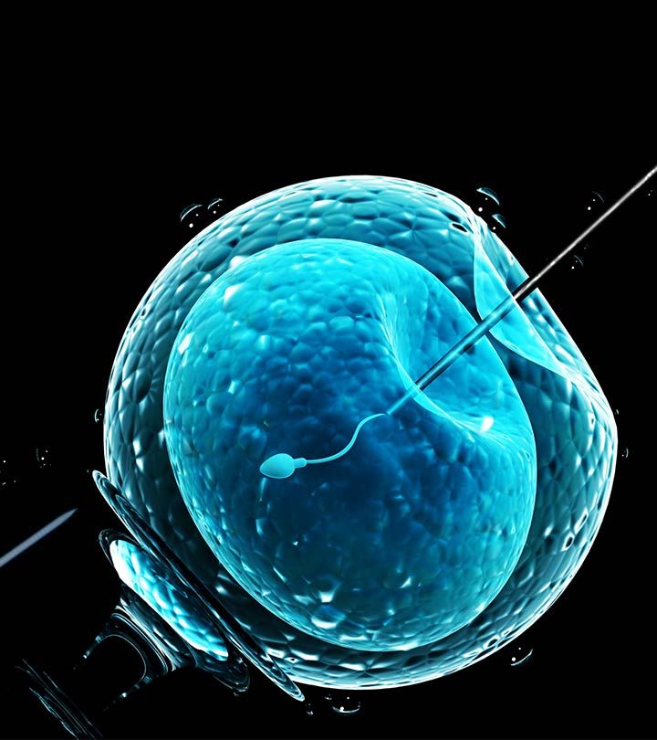 In-Vitro Fertilization Procedure, Risks And Success Rate