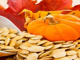 Pumpkin seeds