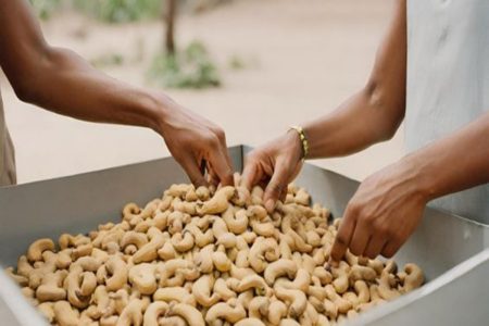 A picture of cashew nuts.