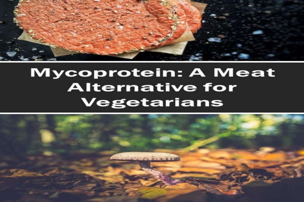 Mushroom and mycoprotein