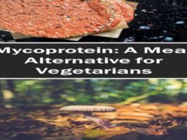 mushroom and mycoprotein