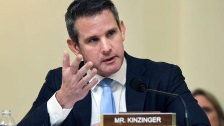 Former Republican Representative Adam Kinzinger