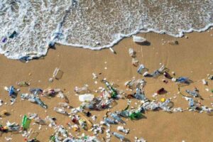 A picture of Oregon Coastal Beach littering