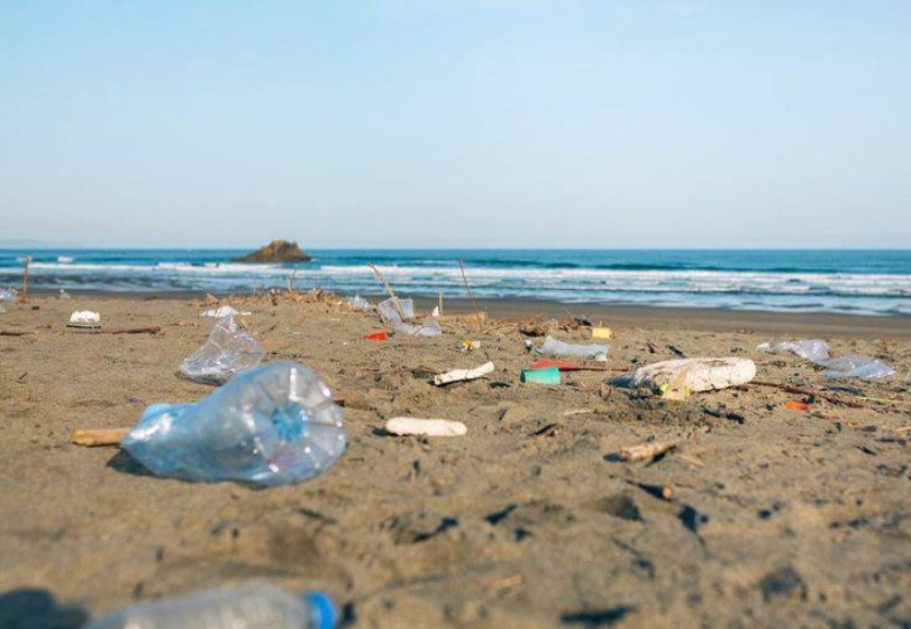 A picture of Oregon Coastal Beach littering