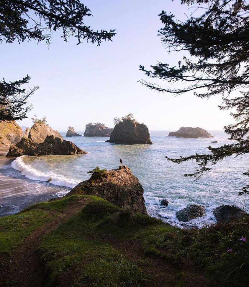 A picture of Oregon Coastal Beach 