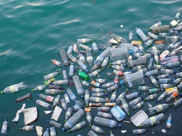 A picture of Oregon Coastal Beach littering