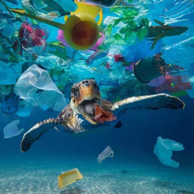 A picture of Oregon Coastal Beach littering