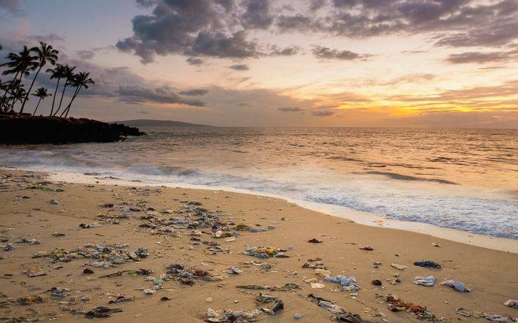 A picture of Oregon Coastal Beach littering