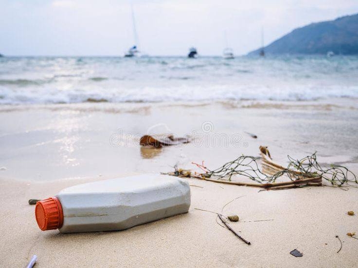 A picture of Oregon Coastal Beach littering