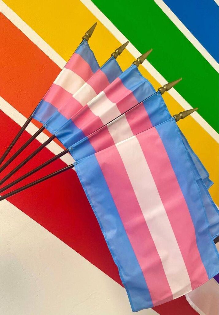 A picture of Transgender flag