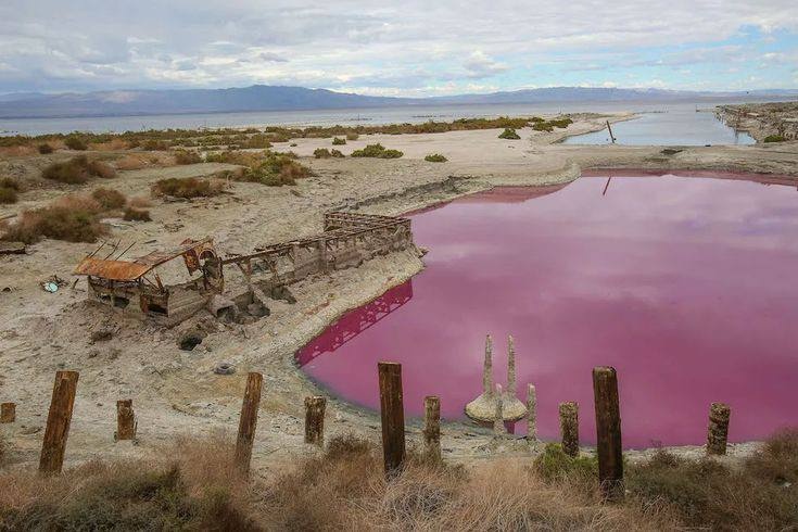 A picture of Salton Sea