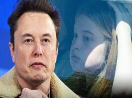 A picture of Elon Musk and Vivian Jenna Wilson