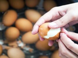 A Picture of Someone Peeling Boiled Eggs