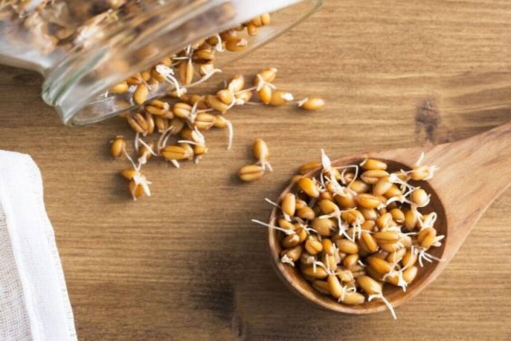 A picture of Sprouted grain