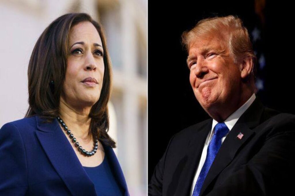 A picture of Kamala Harris and Trump