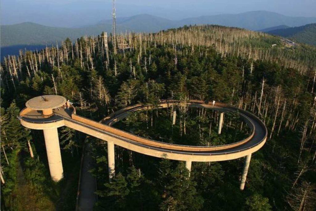 A picture of Clingmans Dome