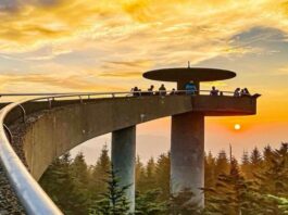 A picture of Clingman's Dome Trail