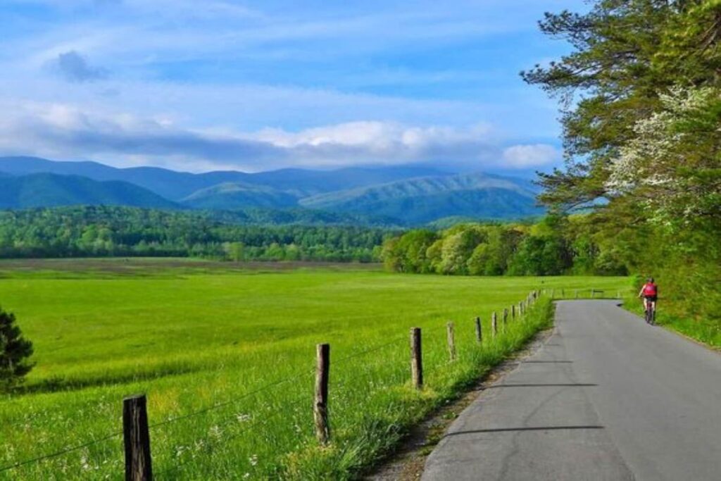 A picture of The smoky mountains.