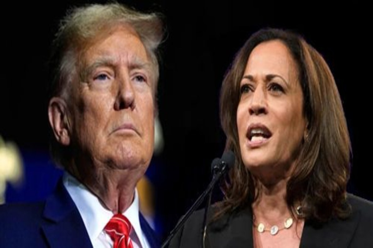 A picture of Trump v Kamala