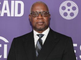 A picture of Andre Braugher