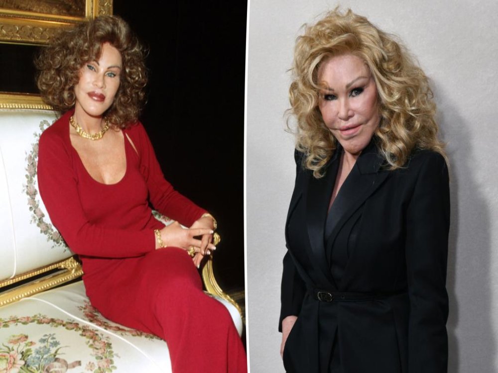 A Picture of Jocelyn Wildenstein